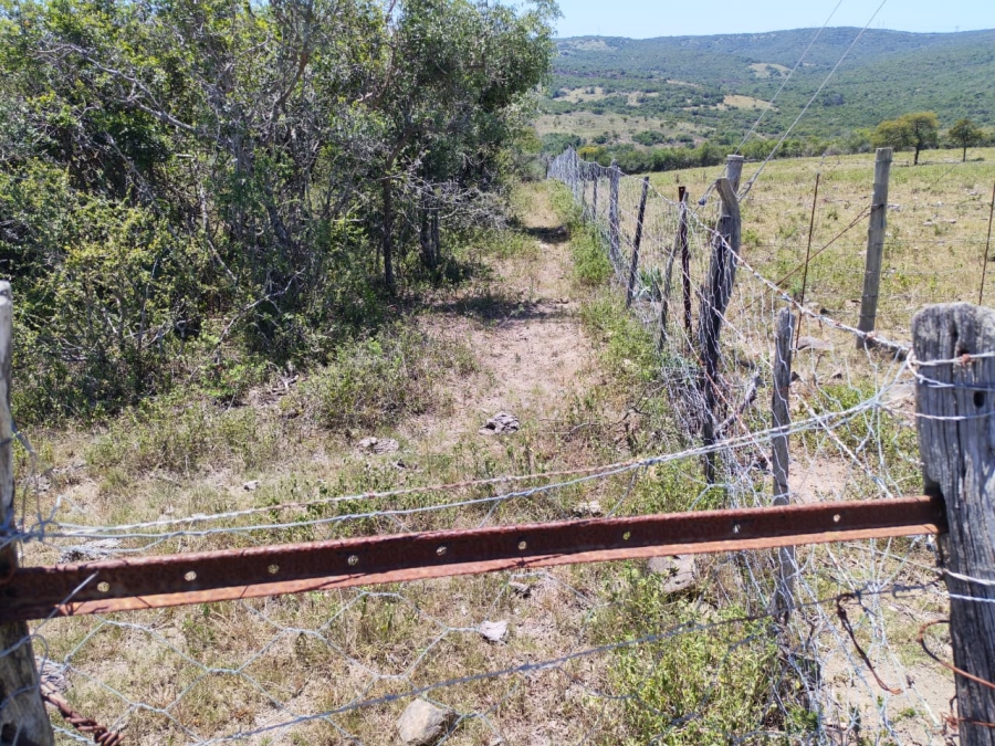 Commercial Property for Sale in Komga Rural Eastern Cape